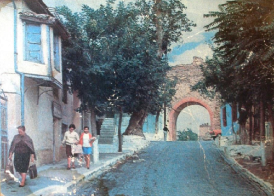 Θεσσαλονίκη: Τέσσερα υπεραιωνόβια πλατάνια θα ανακηρυχθούν διατηρητέα μνημεία