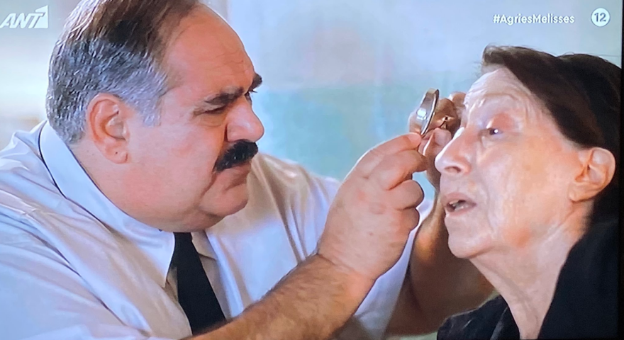 Άγριες Μέλισσες: Η μοιραία Ελένη, ο γραβατωμένος δάσκαλος, ο μαμάκιας ενωμοτάρχης κι άλλα… τσιμπήματα