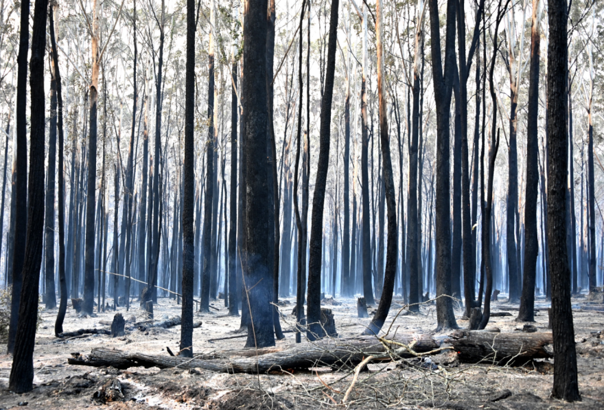Πύρινη «κόλαση» στην Αυστραλία: Τρεις νεκροί - Δείτε βίντεο και φωτογραφίες