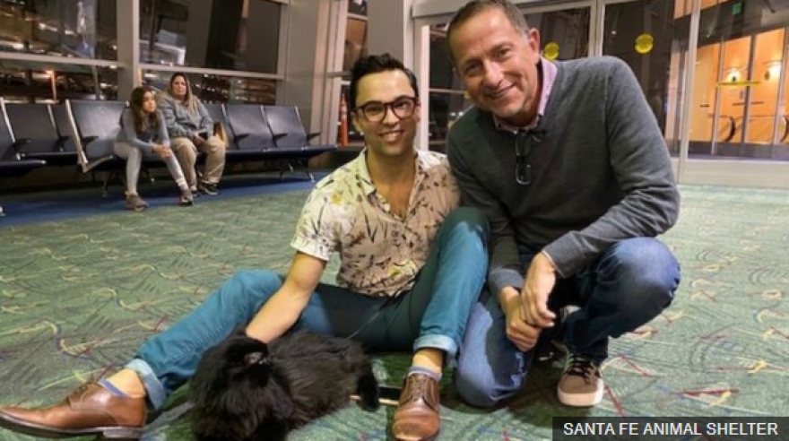 ΗΠΑ: Γάτος που αγνοείτο πέντε χρόνια βρέθηκε 1.900 χλμ μακριά από το σπίτι του ιδιοκτήτη του 