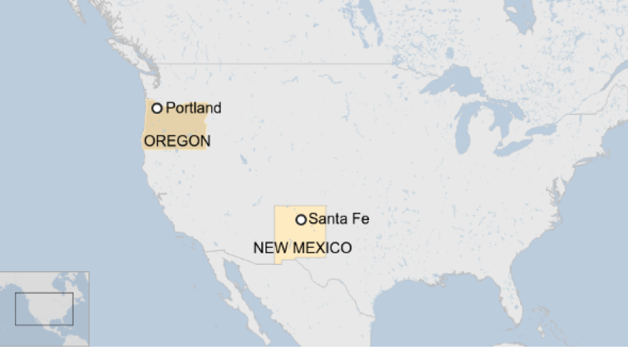 ΗΠΑ: Γάτος που αγνοείτο πέντε χρόνια βρέθηκε 1.900 χλμ μακριά από το σπίτι του ιδιοκτήτη του 