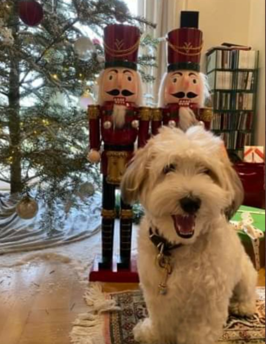 Τα Χριστούγεννα του Νίκου Δένδια με τους Ρίγκαν, Κλίντον και... Μπάιρον