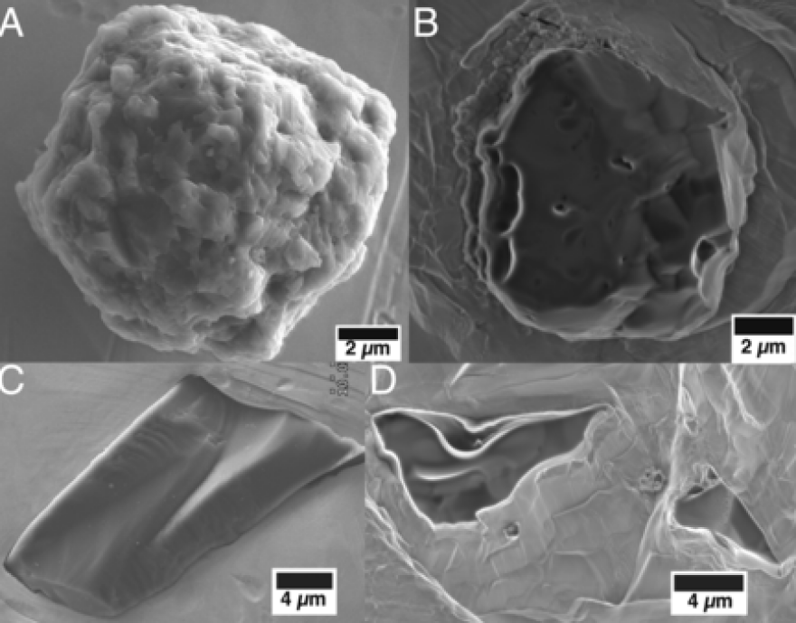 Αυστραλία: Ανακαλύφθηκε το αρχαιότερο υλικό στη Γη ηλικίας επτά δισεκατομμυρίων ετών