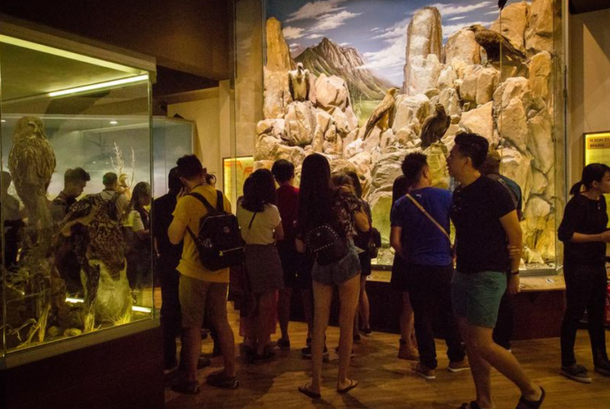 Κυνήγι τρούφας στα Μετέωρα από το Μουσείο Φυσικής Ιστορίας και Μανιταριών 