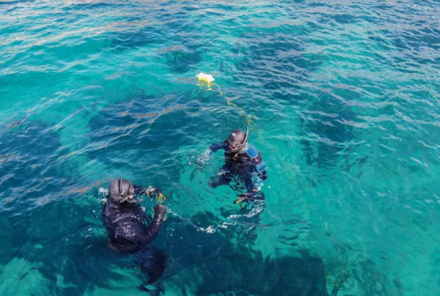Νάρκη ενός τόνου στη Νέα Μηχανιώνα: Επιστρατεύονται βατραχάνθρωποι για να την εξουδετερώσουν 