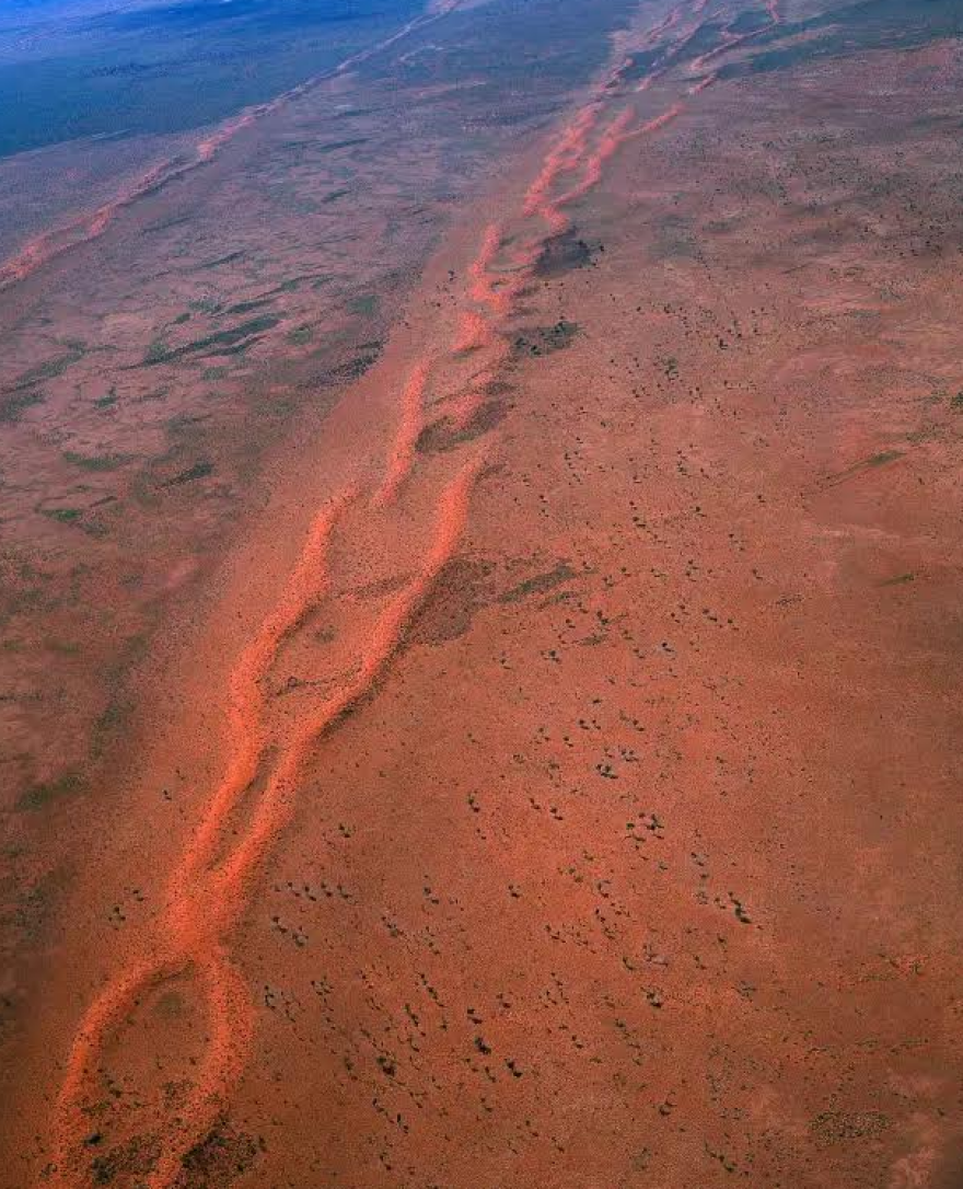 Αυτοακρωτηριασμός με σουγιά, βενζίνη στις πληγές, τρώγοντας πιθήκους: Συγκλονιστικές ιστορίες επιβίωσης
