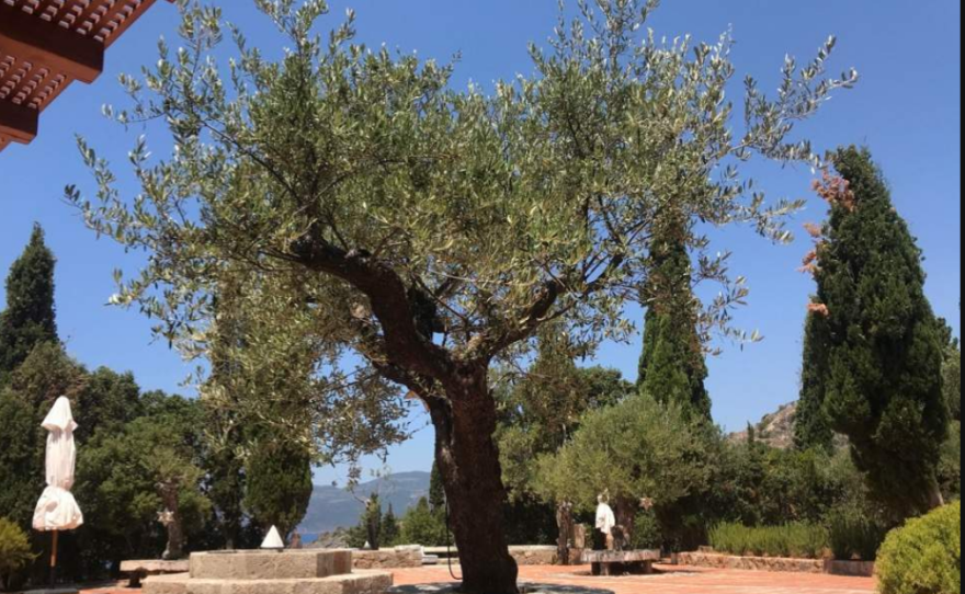 FT: Η Ελλάδα ετοιμάζεται να υποδεχθεί τουρίστες