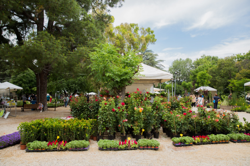66η Ανθοκομική Έκθεση Κηφισιάς: Διαδικτυακή συναυλία με την Φωτεινή Δάρρα