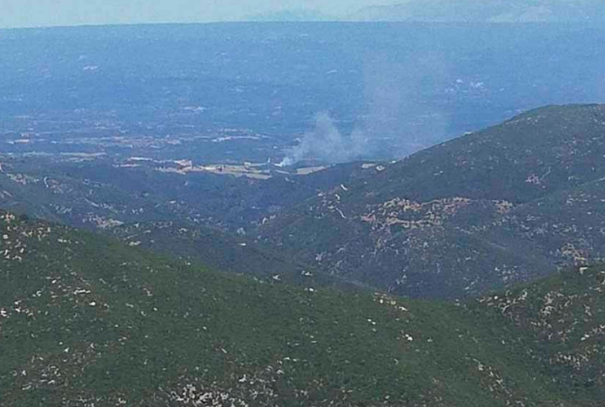 Φωτιά σε δασική έκταση στην Ηλεία: Υπό μερικό έλεγχο, σύμφωνα με την Πυροσβεστική