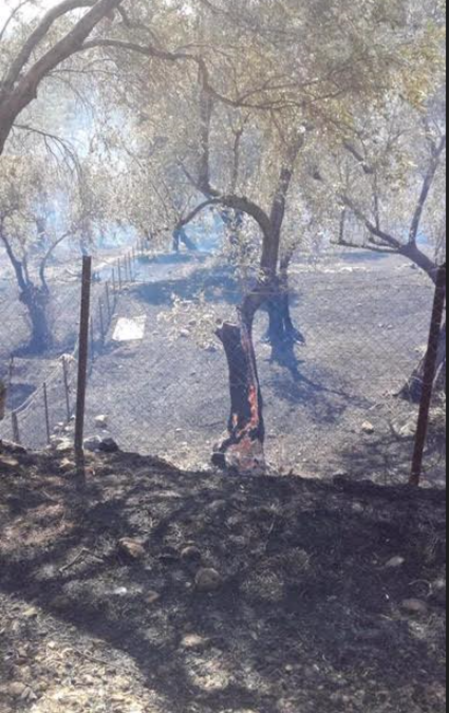 Παράνομοι μετανάστες έχτισαν αυθαίρετο τζαμί σε ξένη ιδιοκτησία - Τι λέει στο protothema.gr η ιδιοκτήτρια