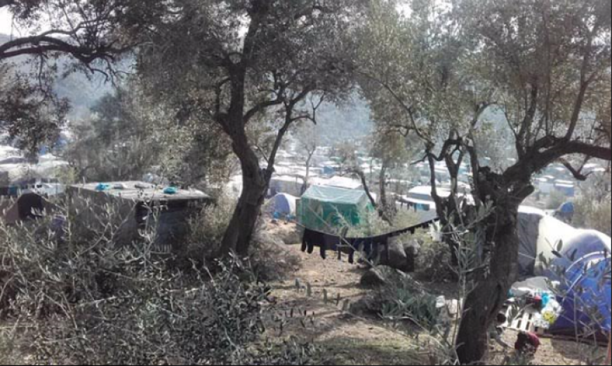 Παράνομοι μετανάστες έχτισαν αυθαίρετο τζαμί σε ξένη ιδιοκτησία - Τι λέει στο protothema.gr η ιδιοκτήτρια