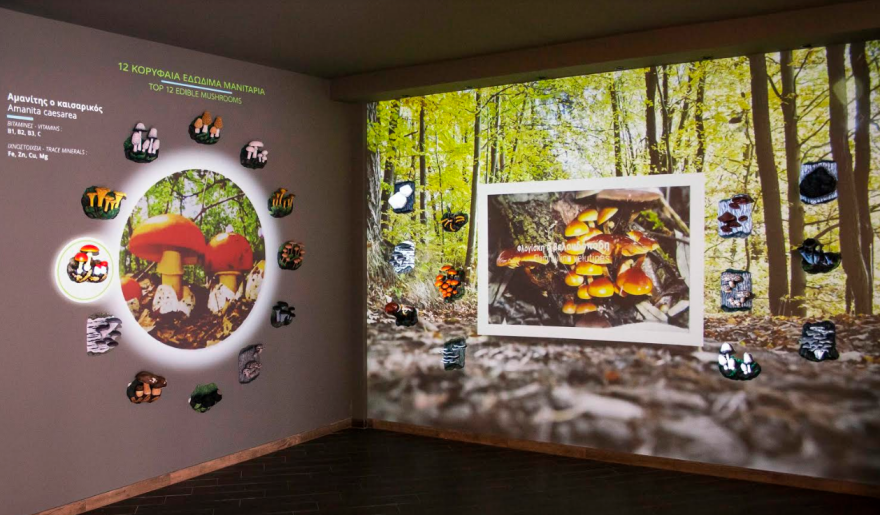 Νέα πτέρυγα στο Μουσείο Φυσικής Ιστορίας και Μανιταριών για τη θρεπτική αξία τους 