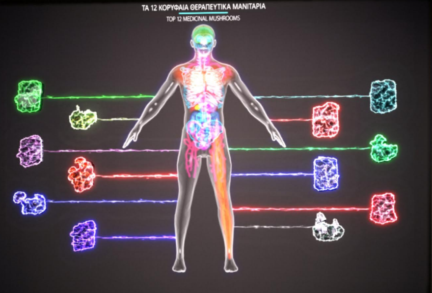 Νέα πτέρυγα στο Μουσείο Φυσικής Ιστορίας και Μανιταριών για τη θρεπτική αξία τους 