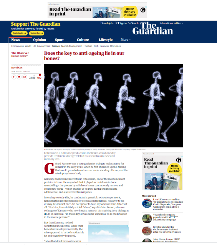 Οστά και Οστεοπόρωση: Μήπως το «κλειδί» για την αντιγήρανση βρίσκεται στα οστά;