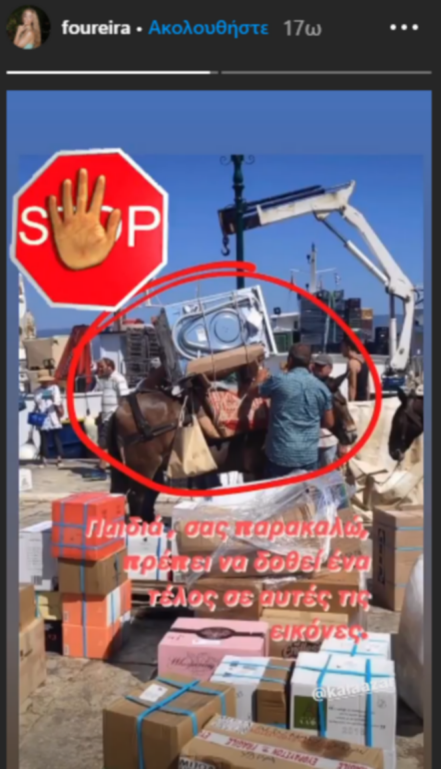 Η Ελένη Φουρέιρα ζητά να  σταματήσει η κακοποίηση των μουλαριών - Δείτε φωτογραφία