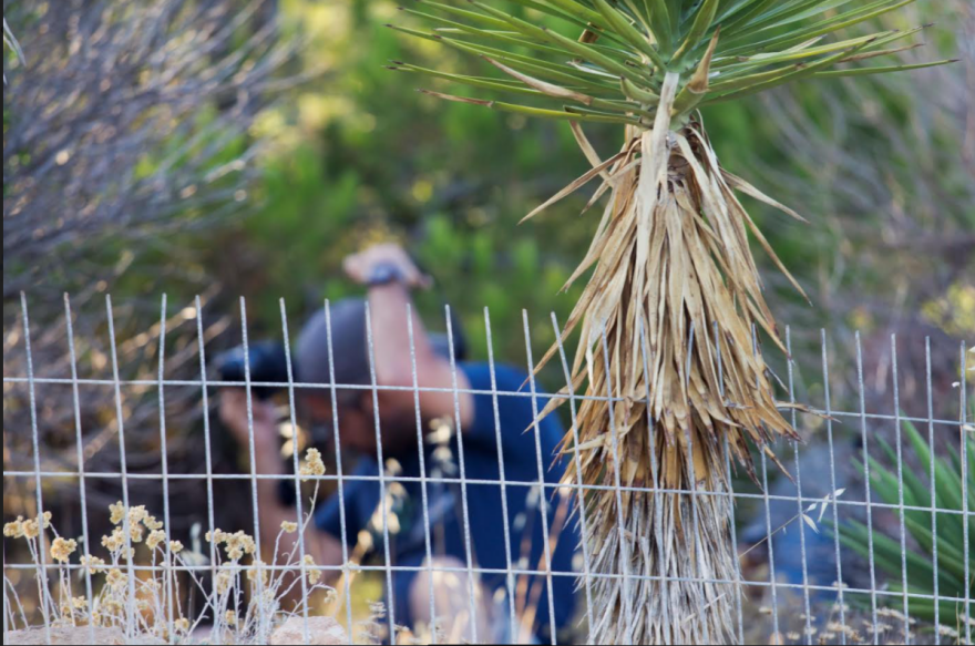 Φωτογραφίες-ντοκουμέντο: Δείτε πώς η ΕΥΠ παρακολουθούσε τον γάμο της κόρης Καραβέλα