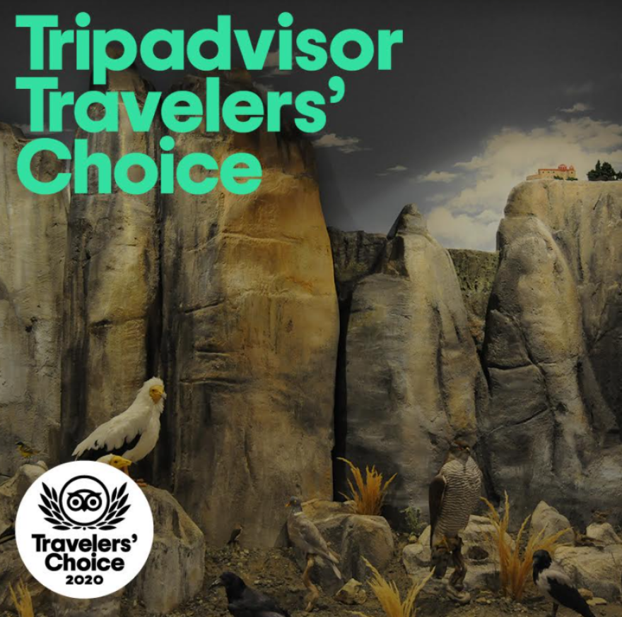 Νέες βραβεύσεις για το Μουσείο Φυσικής Ιστορίας Μετεώρων και Μανιταριών