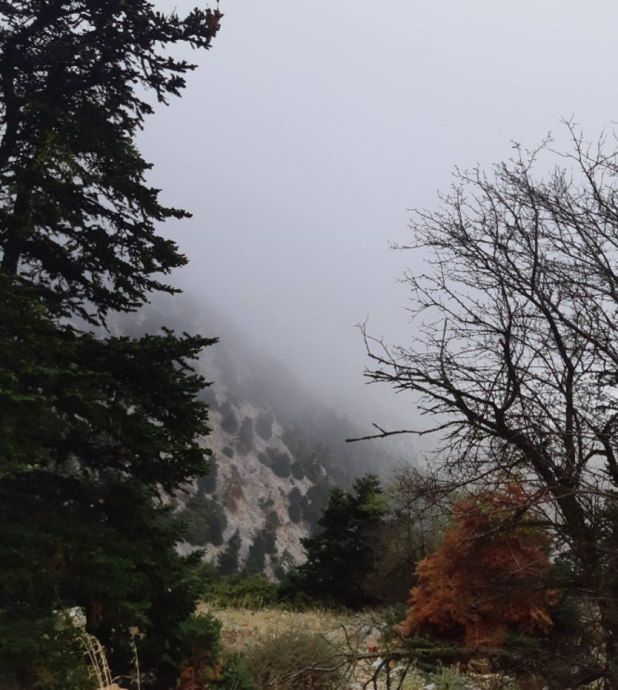 Καιρός - Έκτακτο δελτίο: Βροχές, καταιγίδες και χαλάζι