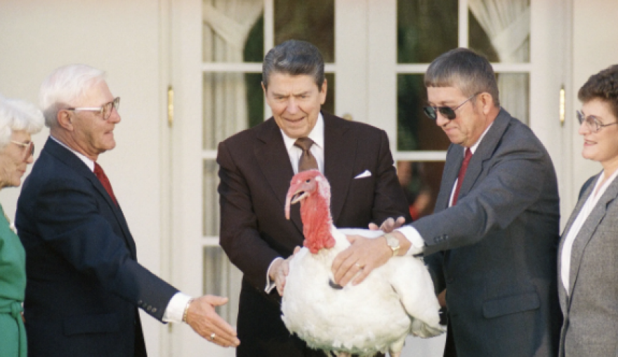 Δείτε βίντεο: Στο ξενοδοχείο οι γαλοπούλες των Ευχαριστιών - «Τρέχει» η ψηφοφορία για το ποια θα πάρει χάρη