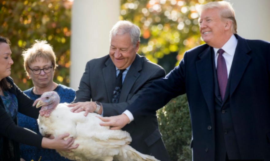 Δείτε βίντεο: Στο ξενοδοχείο οι γαλοπούλες των Ευχαριστιών - «Τρέχει» η ψηφοφορία για το ποια θα πάρει χάρη