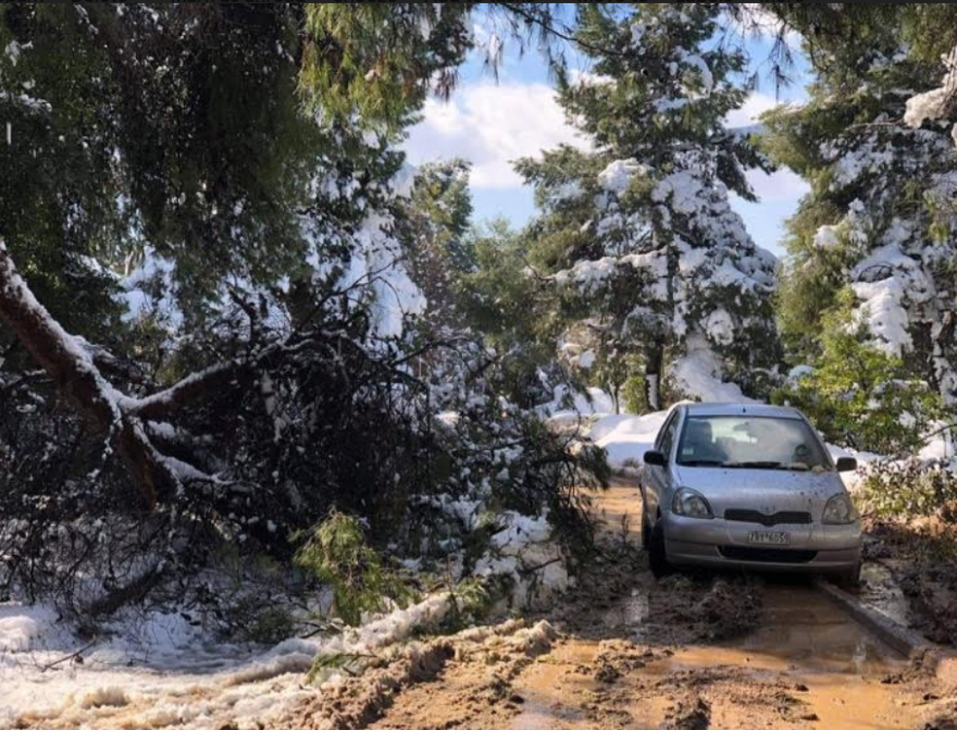 Κακοκαιρία «Μήδεια»: Αποκλεισμένοι χωρίς ρεύμα και νερό για 48 ώρες στην Εκάλη – Δείτε βίντεο