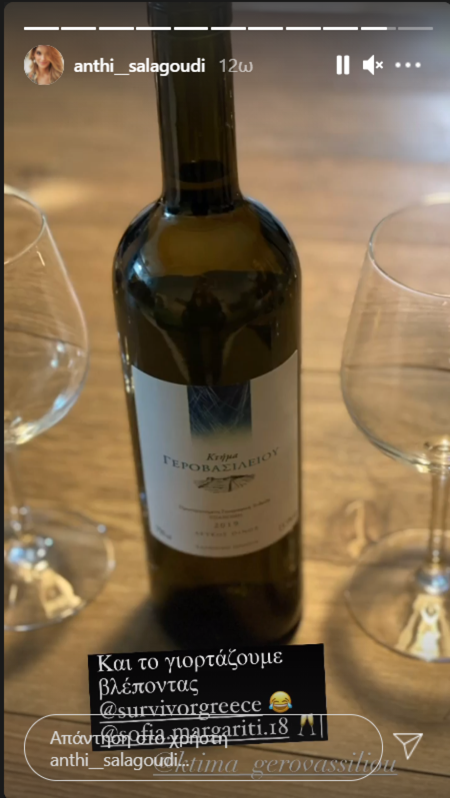 Ανθή Σαλαγκούδη - Σοφία Μαργαρίτη: Είδαν Survivor με πιτόγυρα και κρασί