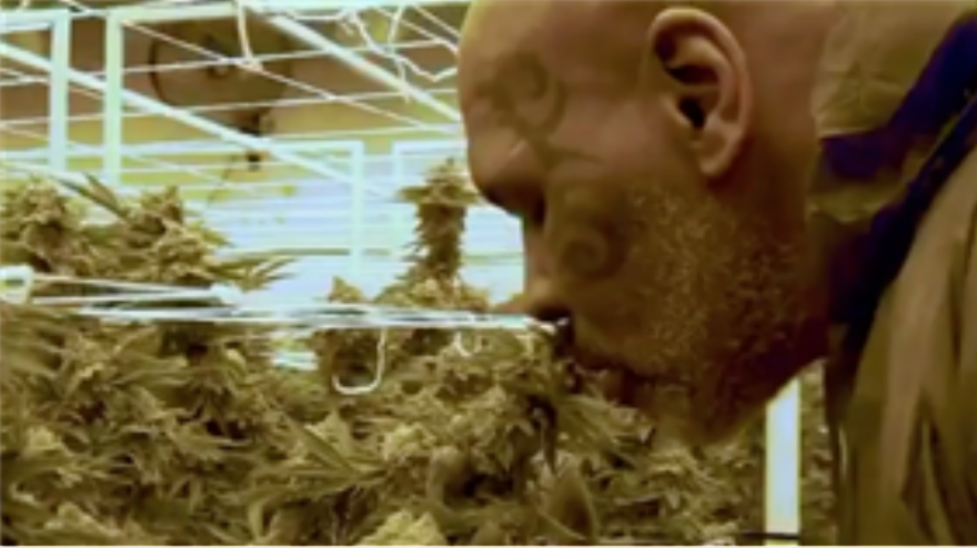 Ο Τζέιμι Φοξ θα υποδυθεί τον Μάικ Τάισον σε σειρά του Σκορτσέζε