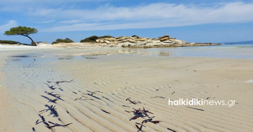 Απίστευτο θέαμα στη Χαλκιδική: «Εξαφανίστηκε» η θάλασσα στο Καρύδι - Φωτογραφίες