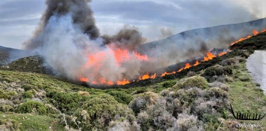 Φωτιά στην Άνδρο: Ενισχύονται οι πυροσβεστικές δυνάμεις - Ελικόπτερα super puma στην περιοχή - Βίντεο, φωτογραφίες