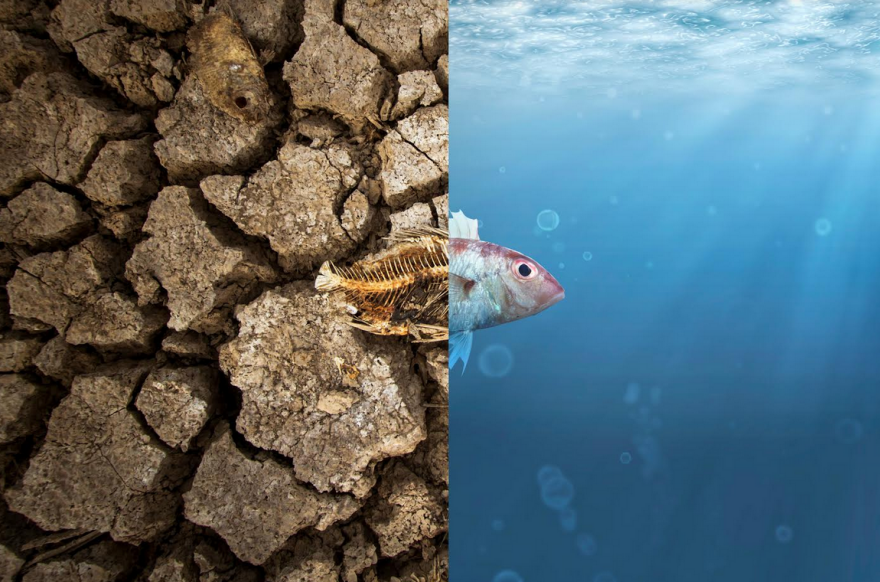 Πράσινο φως για τον «Σπόρο» της Κυκλικής Οικονομίας