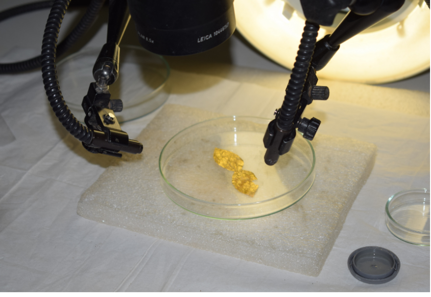 Εορδαία: Μοναδική κλίνη 2.100 ετών με τα σύμβολα του θεού Απόλλωνα - Δείτε φωτογραφίες