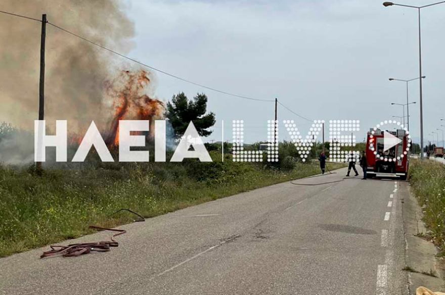 Φωτιά κοντά στην εθνική οδό Πύργου - Αρχαίας Ολυμπίας - Δείτε φωτογραφίες