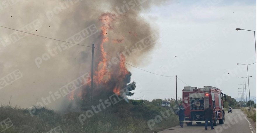 Φωτιά κοντά στην εθνική οδό Πύργου - Αρχαίας Ολυμπίας - Δείτε φωτογραφίες