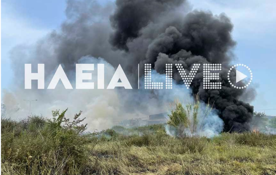 Φωτιά κοντά στην εθνική οδό Πύργου - Αρχαίας Ολυμπίας - Δείτε φωτογραφίες