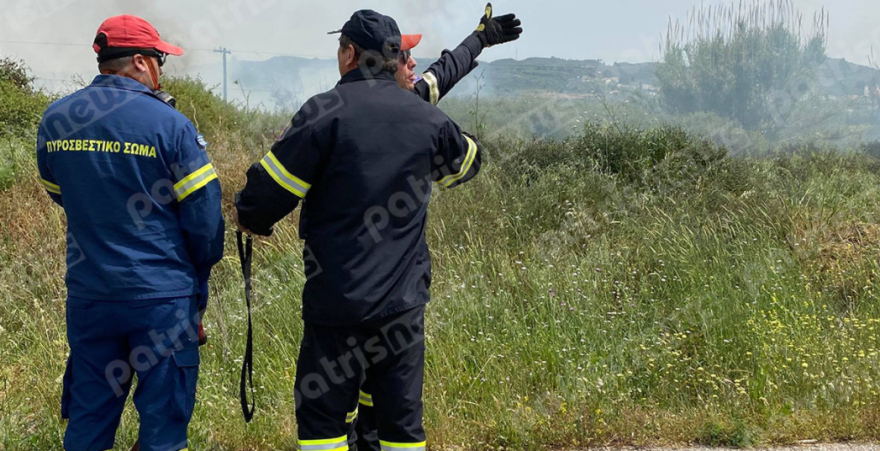 Φωτιά κοντά στην εθνική οδό Πύργου - Αρχαίας Ολυμπίας - Δείτε φωτογραφίες