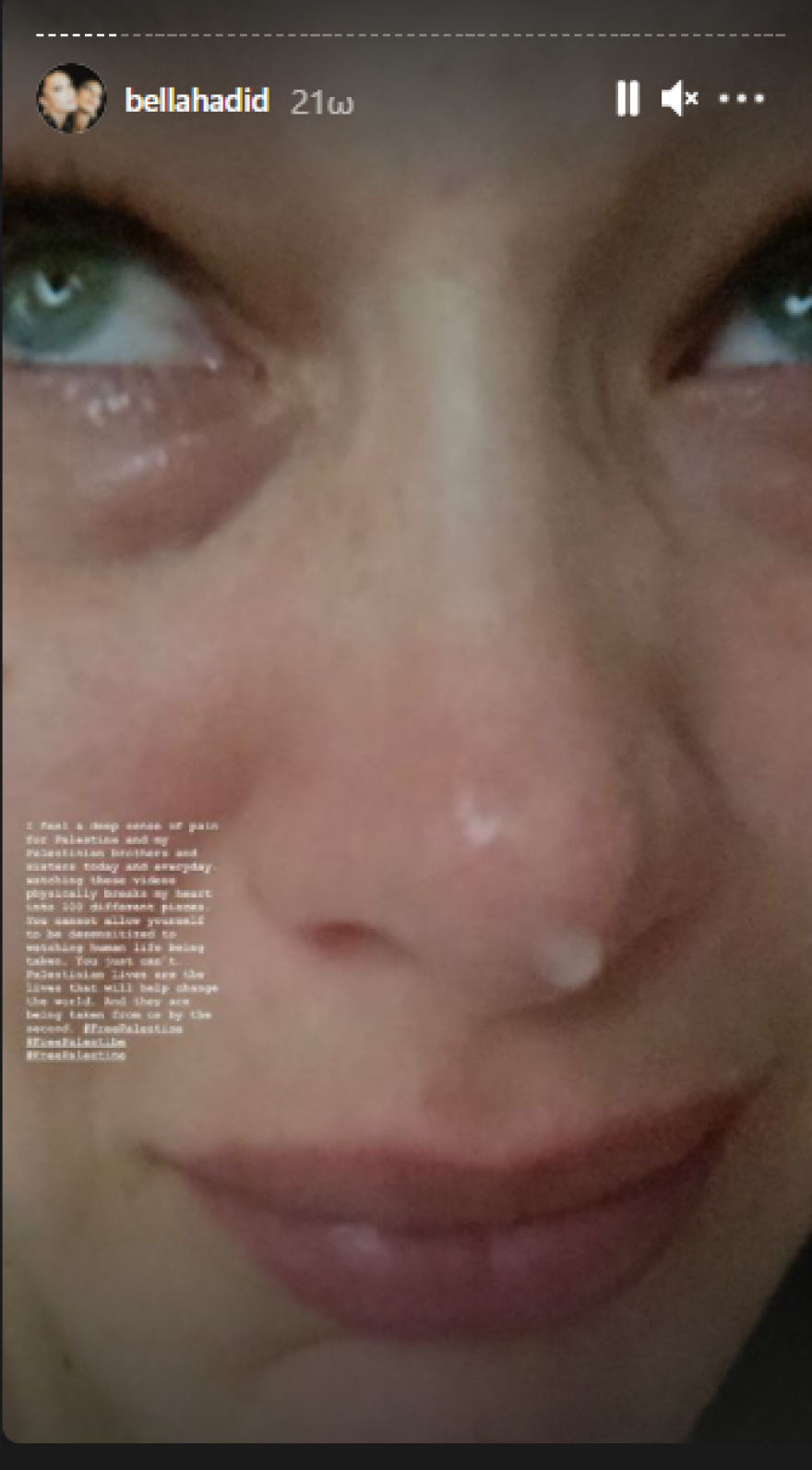 Το Ισραήλ «κατακεραυνώνει» την Μπέλα Χαντίντ που διαδήλωσε υπέρ των Παλαιστινίων - «Ντροπή σου»