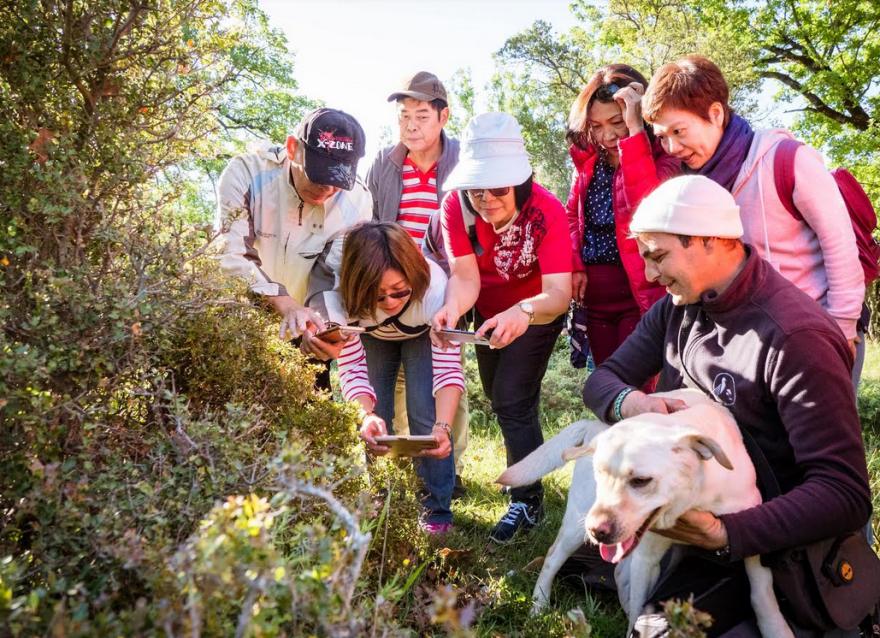 Κυνήγι τρούφας: Εξορμήσεις με «χορταστική» κατάληξη στα  Μετέωρα 