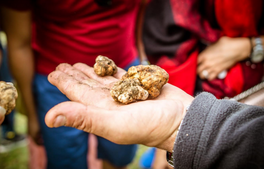 Κυνήγι τρούφας: Εξορμήσεις με «χορταστική» κατάληξη στα  Μετέωρα 