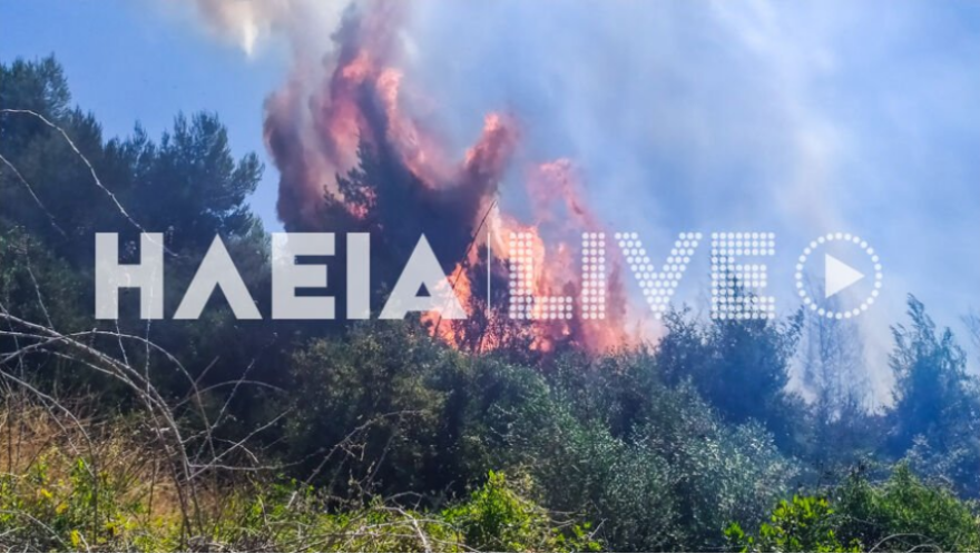 Φωτιά στον Πύργο Ηλείας σε δασική έκταση στην περιοχή Βροχίτσα - Δείτε φωτογραφίες