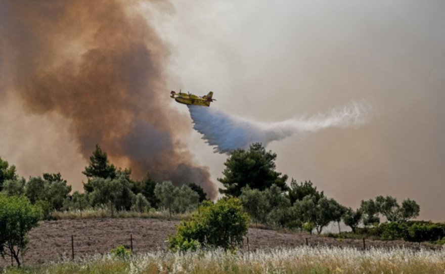 Φωτιά σε Σχίνο- Μέγαρα - Στέλιος Πέτσας: Πακέτο μέτρων για τη στήριξη των πυρόπληκτων
