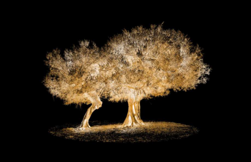 Πρίγκιπας Νικόλαος: Μετέχει στην έκθεση London Design Biennale 2021