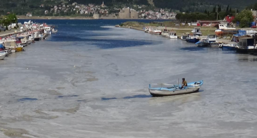 Τουρκία: Περίεργη «γλίτσα» απειλεί τη θάλασσα του Μαρμαρά