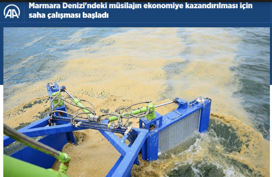 Τουρκία: Καθαρίζουν τη βλέννα και ερευνούν αν μπορούν να την αξιοποιήσουν στη γεωργία