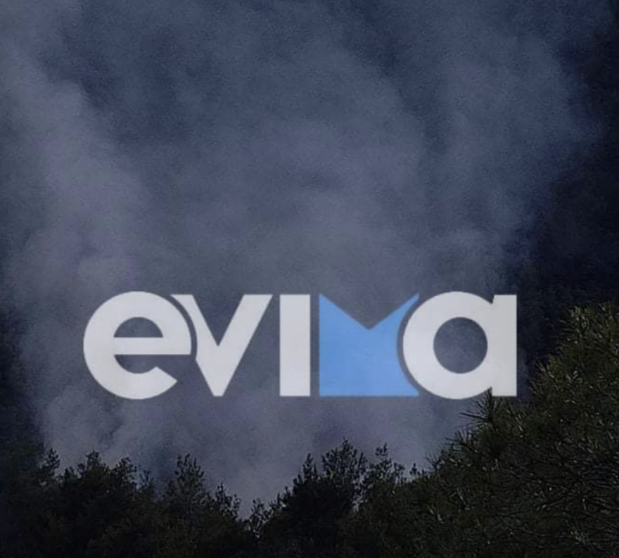 Εύβοια: Μεγάλη φωτιά μεταξύ Πηλίου - Μαντουδίου