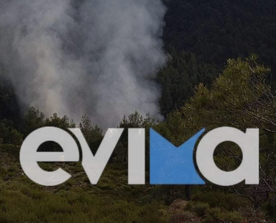 Εύβοια: Μεγάλη φωτιά μεταξύ Πηλίου - Μαντουδίου
