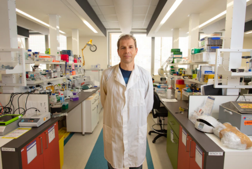 Η επιδημία του κορωνοϊού ξέσπασε στην Ανατολική Ασία πριν από περίπου 25.000 χρόνια, σύμφωνα με επιστημονικές μελέτες 