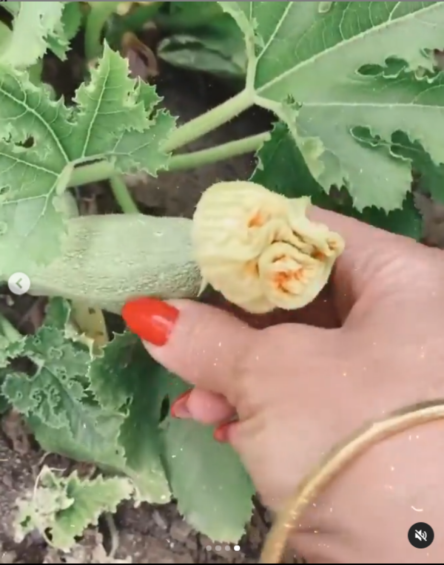 Η Κέιτ Χάντσον μας δείχνει τον... ελληνικό της κήπο - Βίντεο και φωτογραφίες