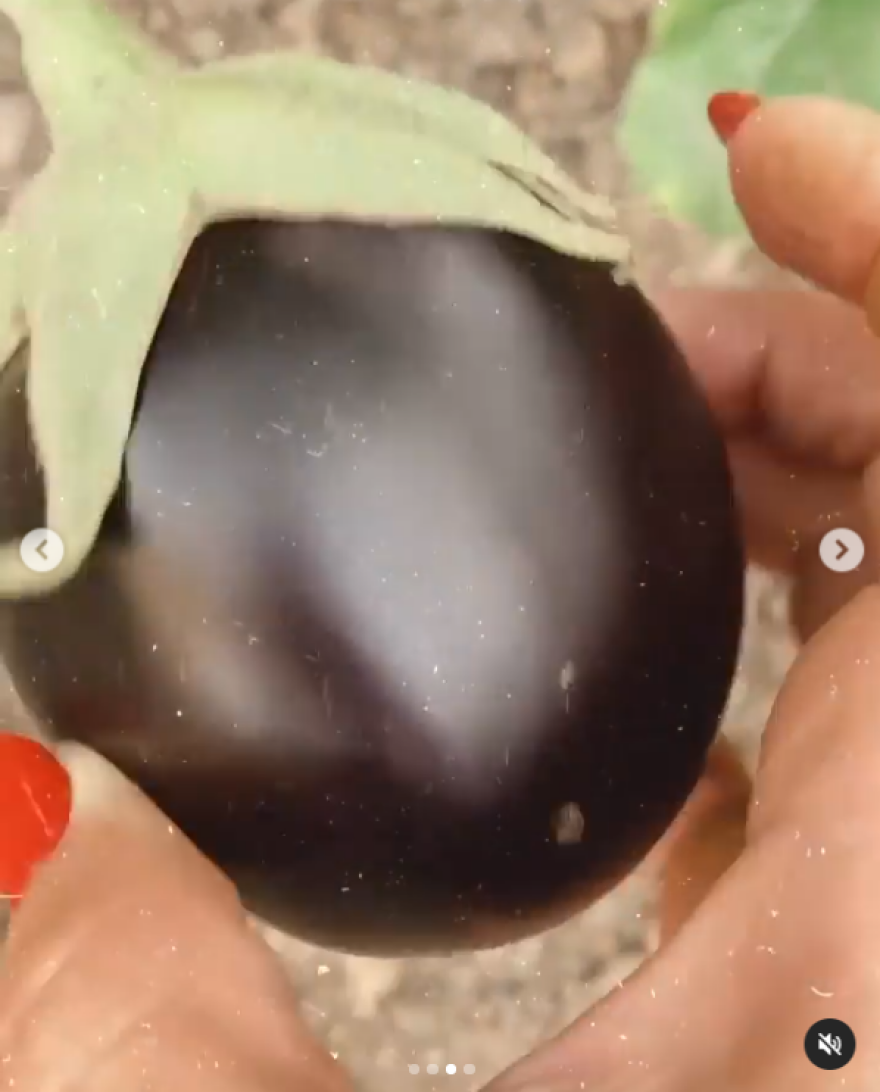 Η Κέιτ Χάντσον μας δείχνει τον... ελληνικό της κήπο - Βίντεο και φωτογραφίες