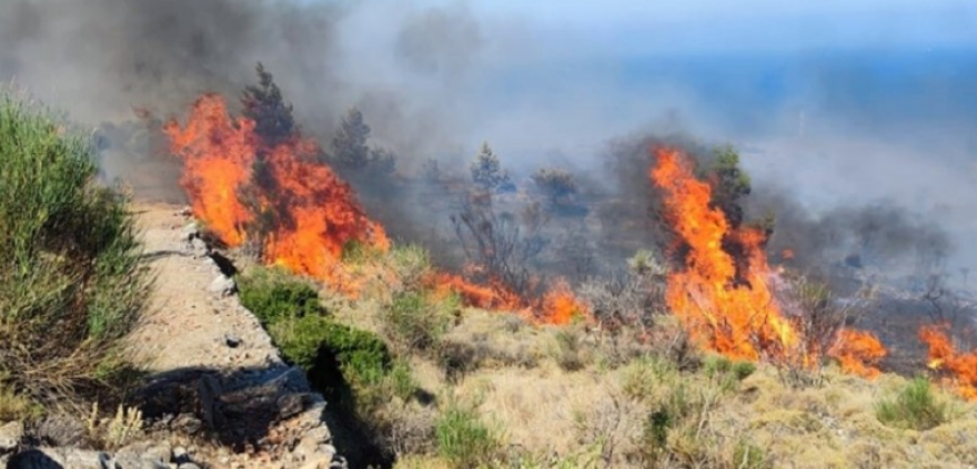 Φωτιά στη Χίο: Εκκενώθηκαν προληπτικά 3 χωριά - Στη μάχη της κατάσβεσης και το ρωσικό θηρίο Beriev (Βίντεο)