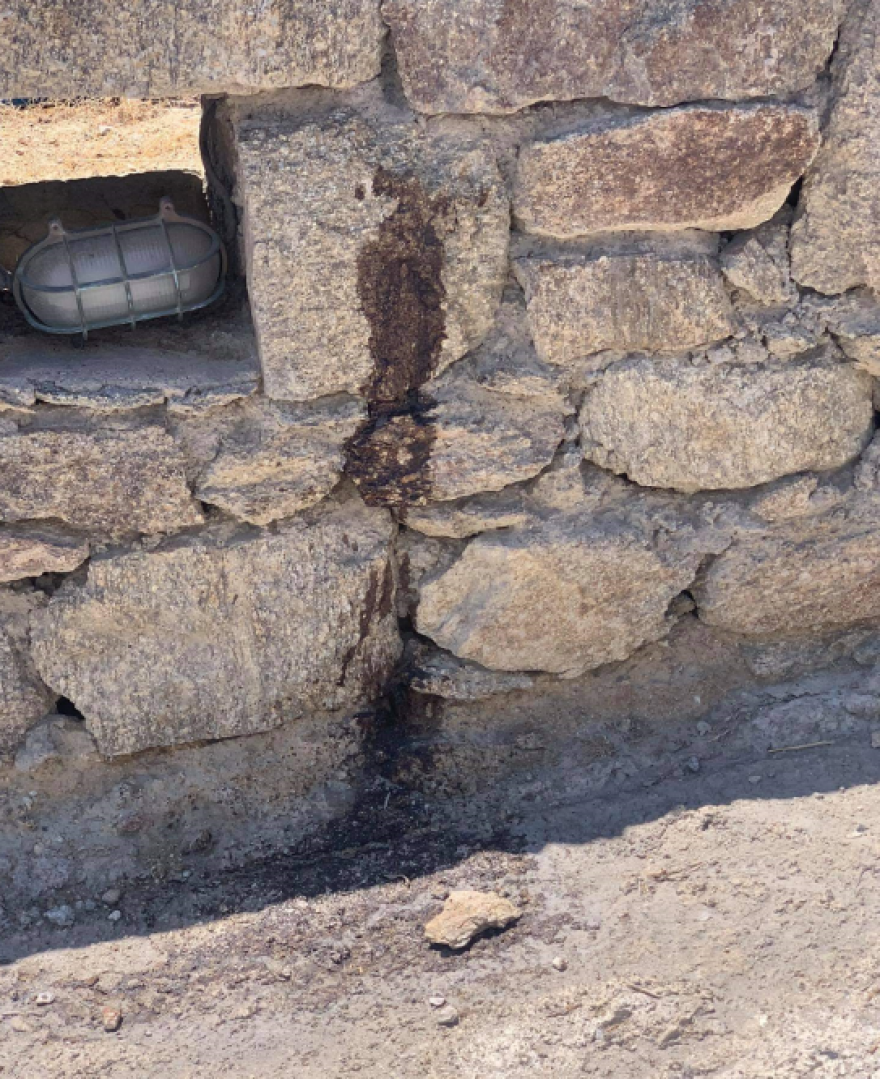 Μύκονος: Το βίντεο-ντοκουμέντο από το κορωνοπάρτι που κατέληξε στον ξυλοδαρμό του σωματοφύλακα